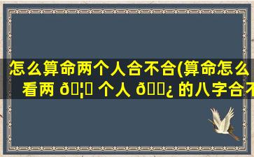 怎么算命两个人合不合(算命怎么看两 🦅 个人 🌿 的八字合不合适)